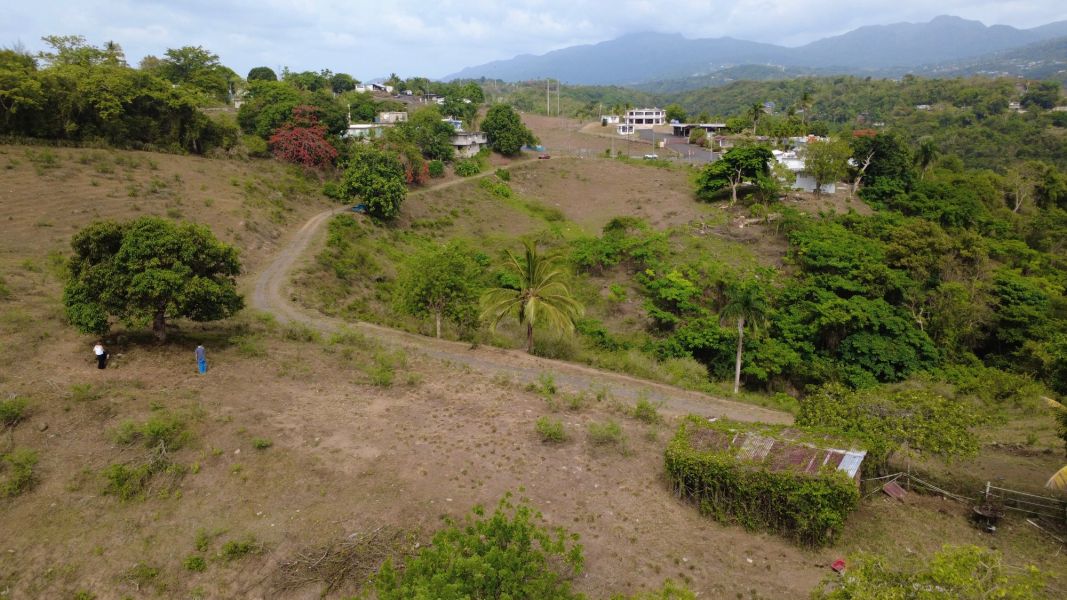 Finca Sr 185 Km 3.0 Int Campo Rico Ward, Canovanas - 2