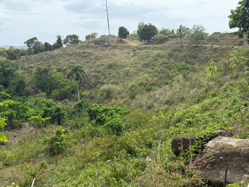Finca Sr 185 Km 3.0 Int Campo Rico Ward, Canovanas - 8