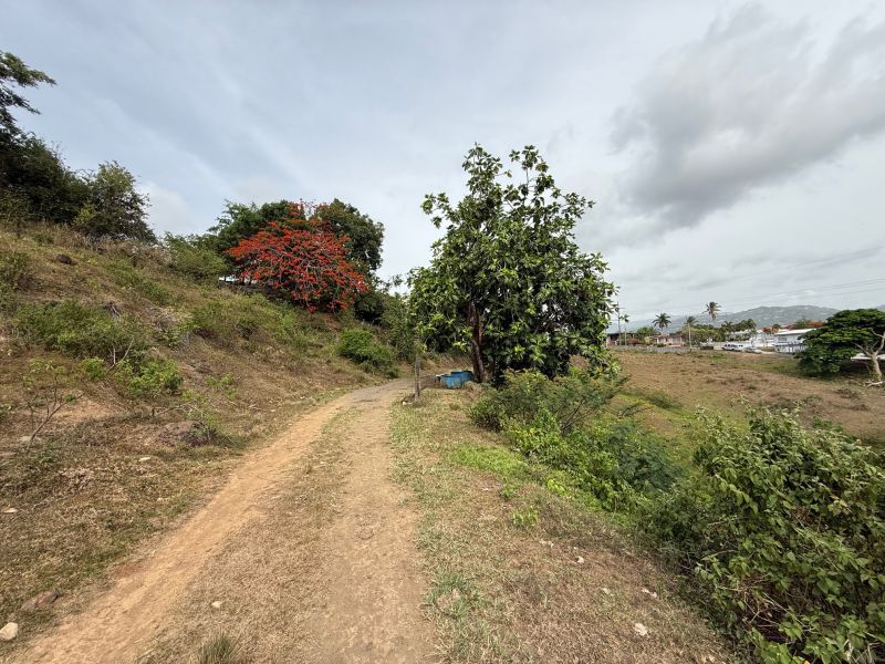 Finca Sr 185 Km 3.0 Int Campo Rico Ward, Canovanas - 15