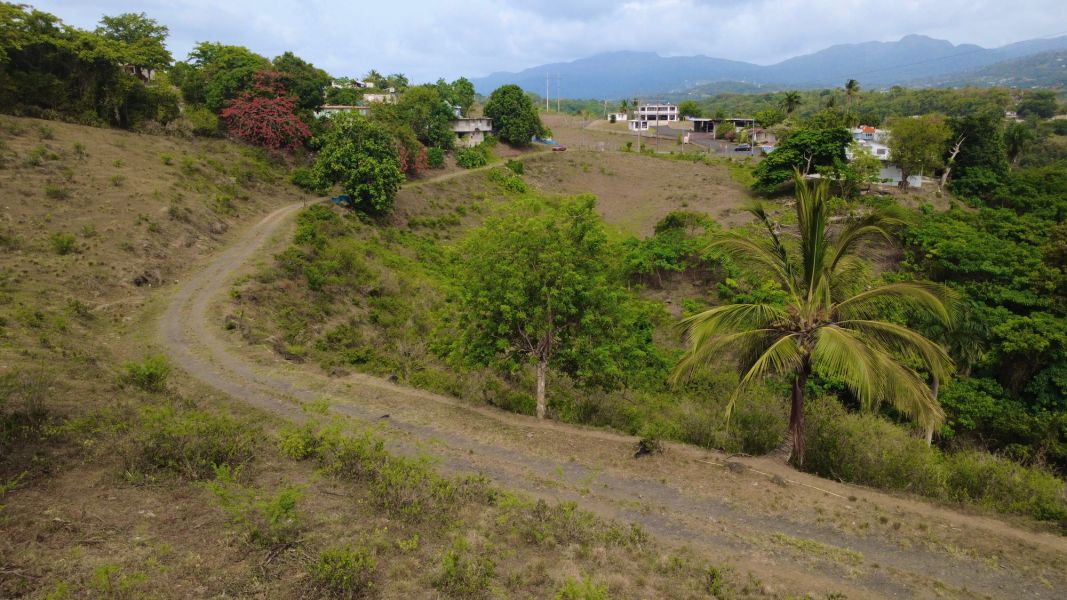Finca Sr 185 Km 3.0 Int Campo Rico Ward, Canovanas - 3