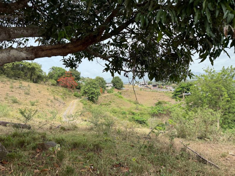 Finca Sr 185 Km 3.0 Int Campo Rico Ward, Canovanas - 5