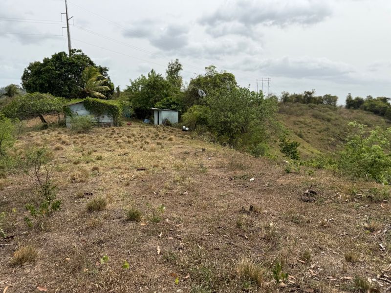 Finca Sr 185 Km 3.0 Int Campo Rico Ward, Canovanas - 7