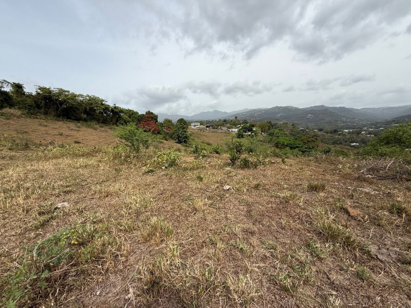 Finca Sr 185 Km 3.0 Int Campo Rico Ward, Canovanas - 11