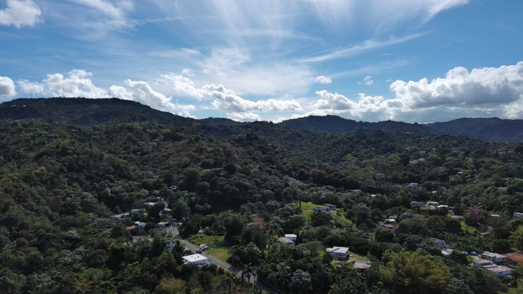 Bo Hato Nuevo #a Camino Oneil Casanas Guaynabo 00971 PR