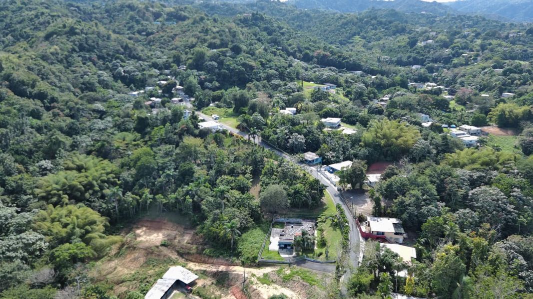 Bo Hato Nuevo #a Camino Oneil Casanas Guaynabo 00971 PR