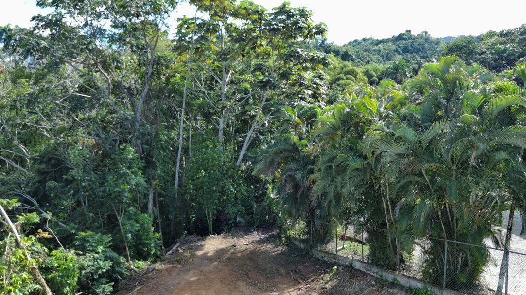 Bo Hato Nuevo #a Camino Oneil Casanas Guaynabo 00971 PR