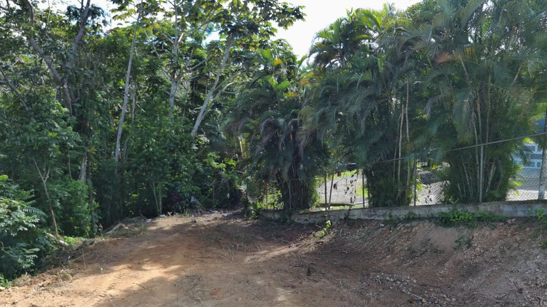 Bo Hato Nuevo #a Camino Oneil Casanas Guaynabo 00971 PR