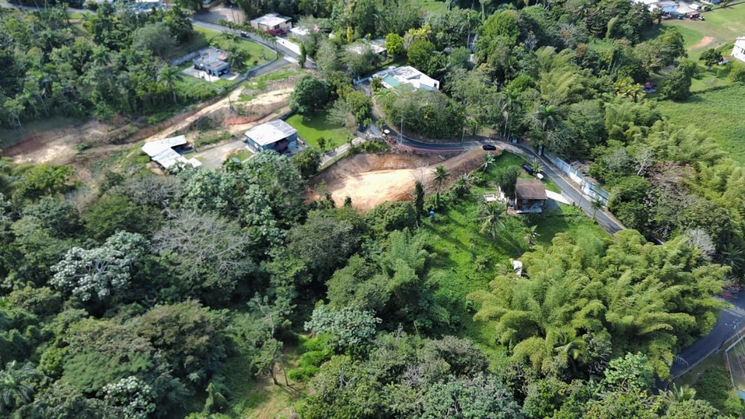 Bo Hato Nuevo #a Camino Oneil Casanas Guaynabo 00971 PR