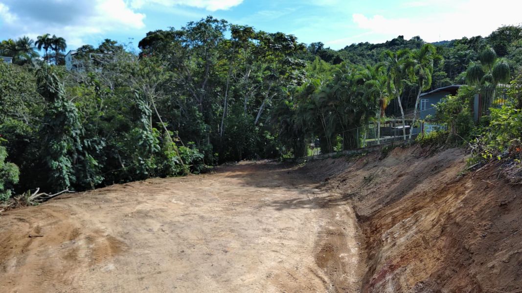 Bo Hato Nuevo #a Camino Oneil Casanas Guaynabo 00971 PR