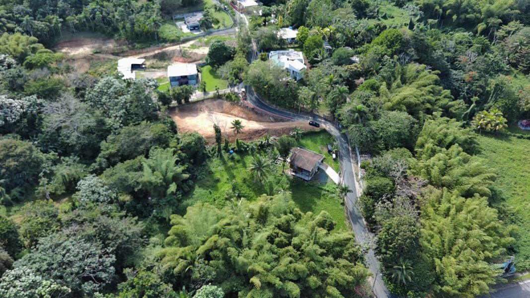 Bo Hato Nuevo #a Camino Oneil Casanas Guaynabo 00971 PR