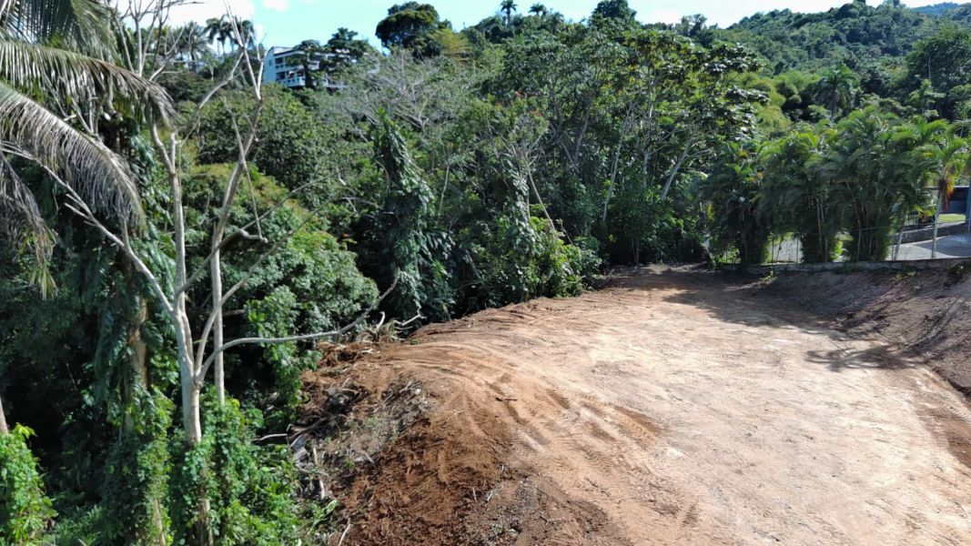 Bo Hato Nuevo #a Camino Oneil Casanas Guaynabo 00971 PR