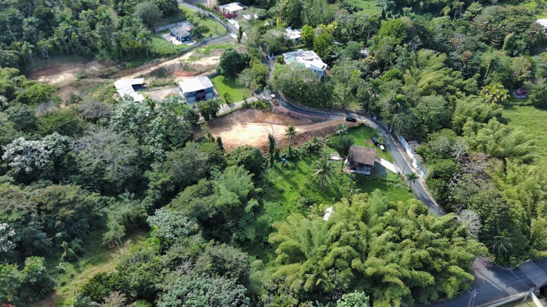 Bo Hato Nuevo #a Camino Oneil Casanas Guaynabo 00971 PR