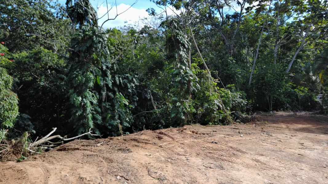 Bo Hato Nuevo #a Camino Oneil Casanas Guaynabo 00971 PR