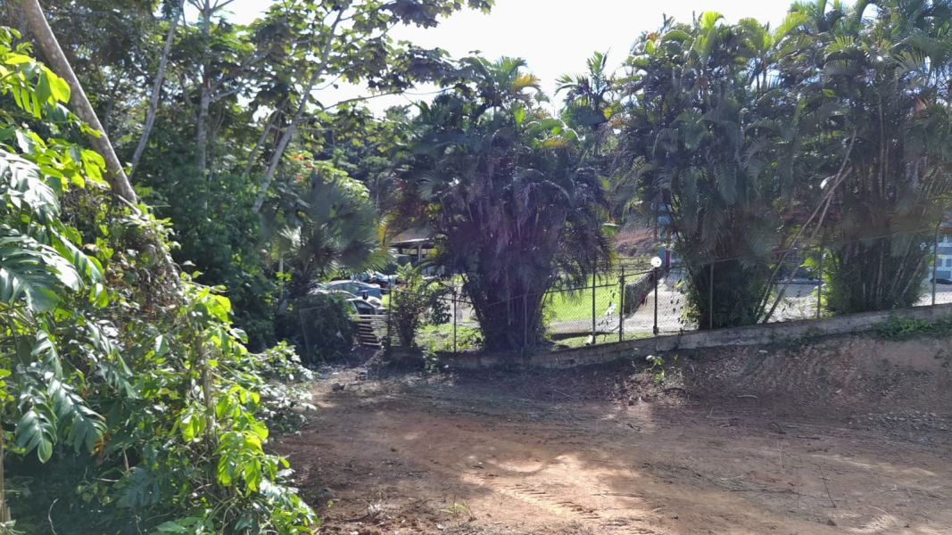 Bo Hato Nuevo #a Camino Oneil Casanas Guaynabo 00971 PR