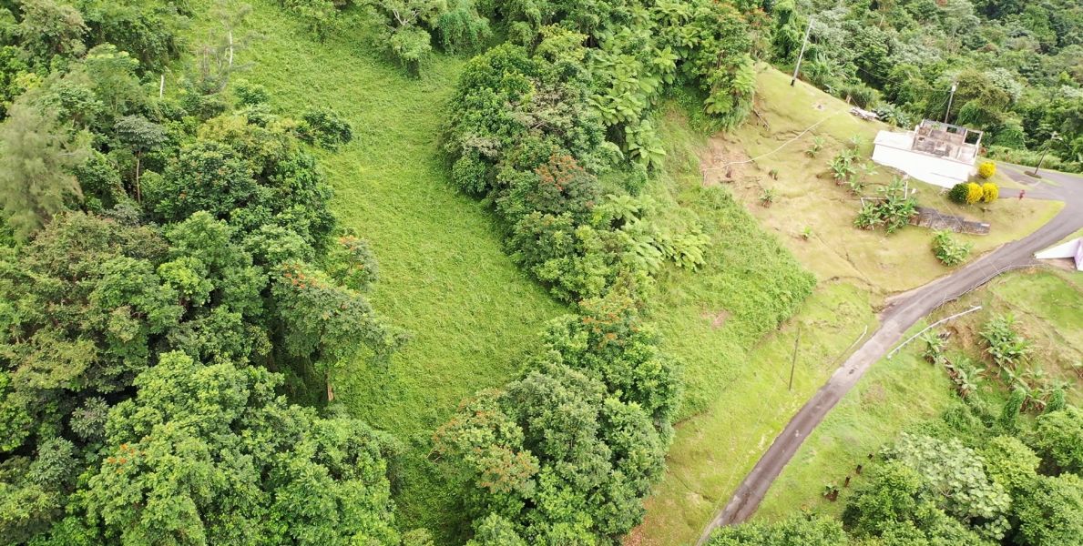 Km 8 Carr 765 Bo San Salvador Caguas 00725 PR