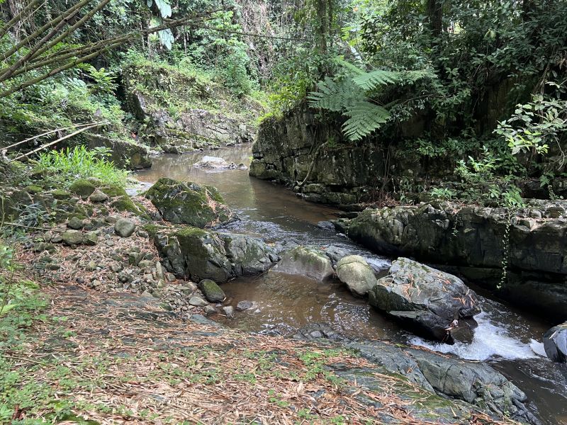 Km 8 Carr 765 Bo San Salvador Caguas 00725 PR