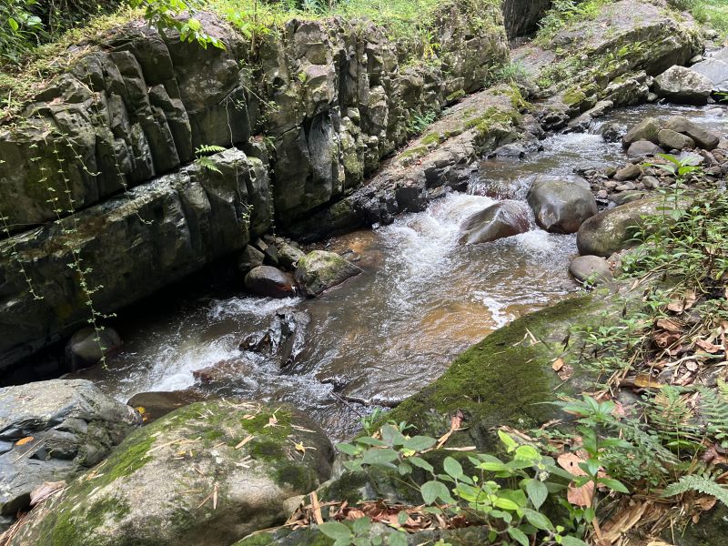 Km 8 Carr 765 Bo San Salvador Caguas 00725 PR