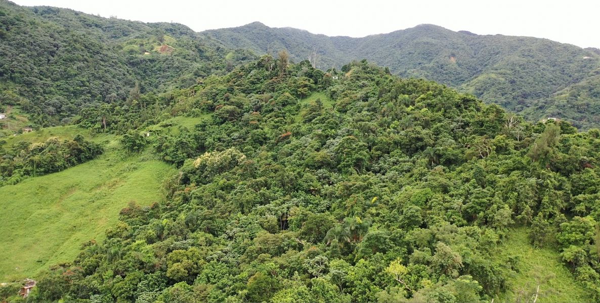 Km 8 Carr 765 Bo San Salvador Caguas 00725 PR