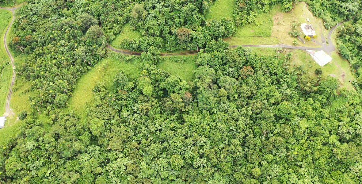 Km 8 Carr 765 Bo San Salvador Caguas 00725 PR