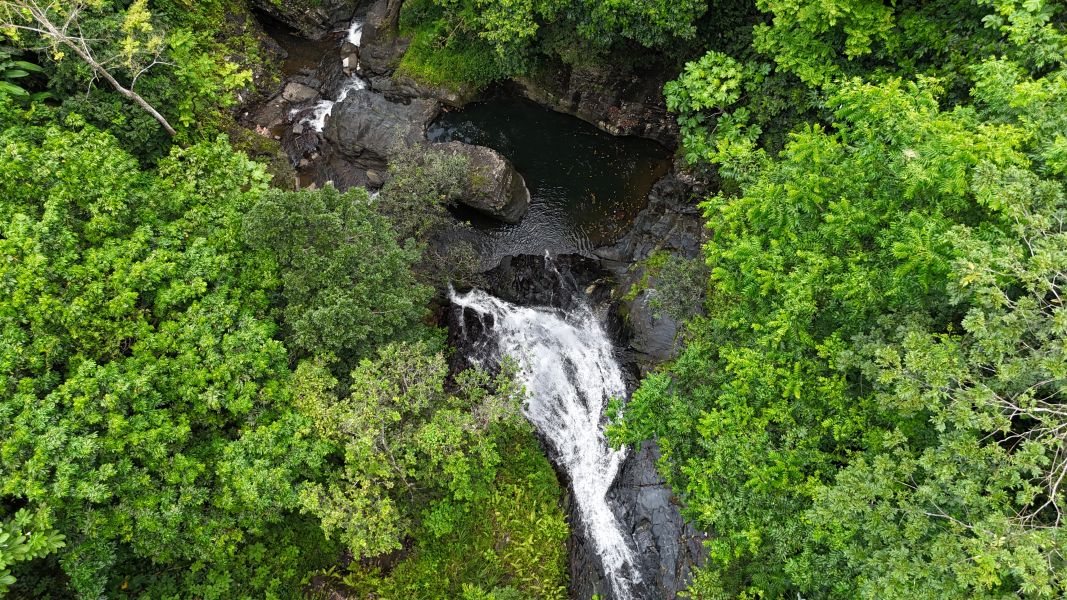 Km 8 Carr 765 Bo San Salvador Caguas 00725 PR