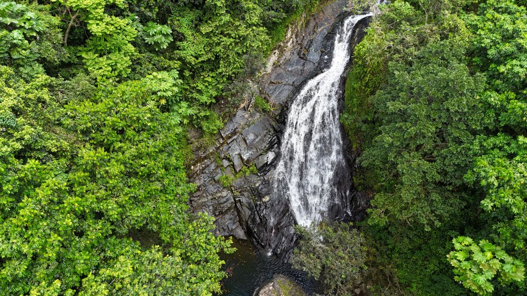 Km 8 Carr 765 Bo San Salvador Caguas 00725 PR