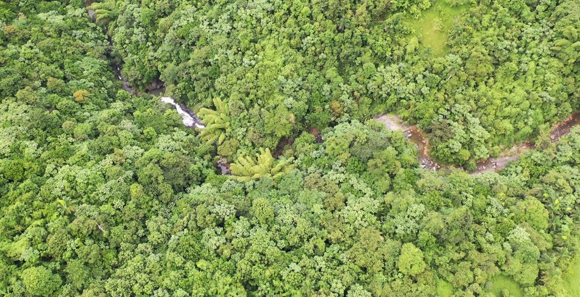 Km 8 Carr 765 Bo San Salvador Caguas 00725 PR