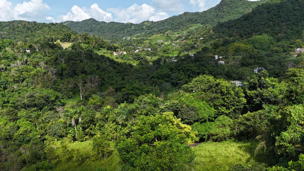 Km 8 Carr 765 Bo San Salvador, Caguas - 15