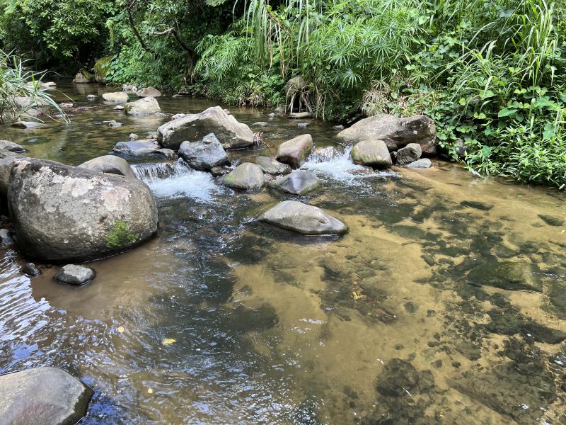 Km 8 Carr 765 Bo San Salvador, Caguas - 5