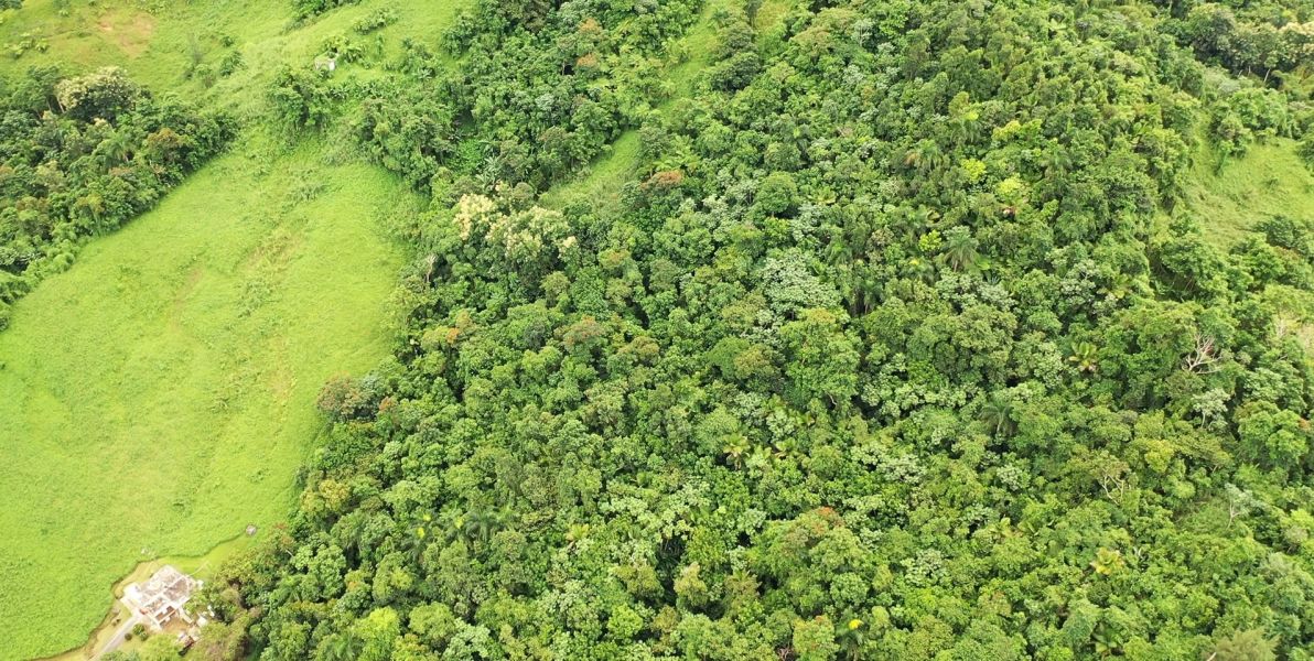 Km 8 Carr 765 Bo San Salvador Caguas 00725 PR