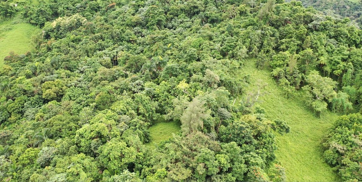 Km 8 Carr 765 Bo San Salvador Caguas 00725 PR