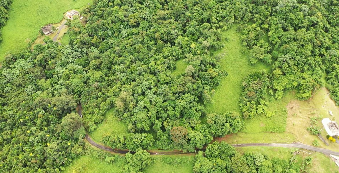 Km 8 Carr 765 Bo San Salvador Caguas 00725 PR