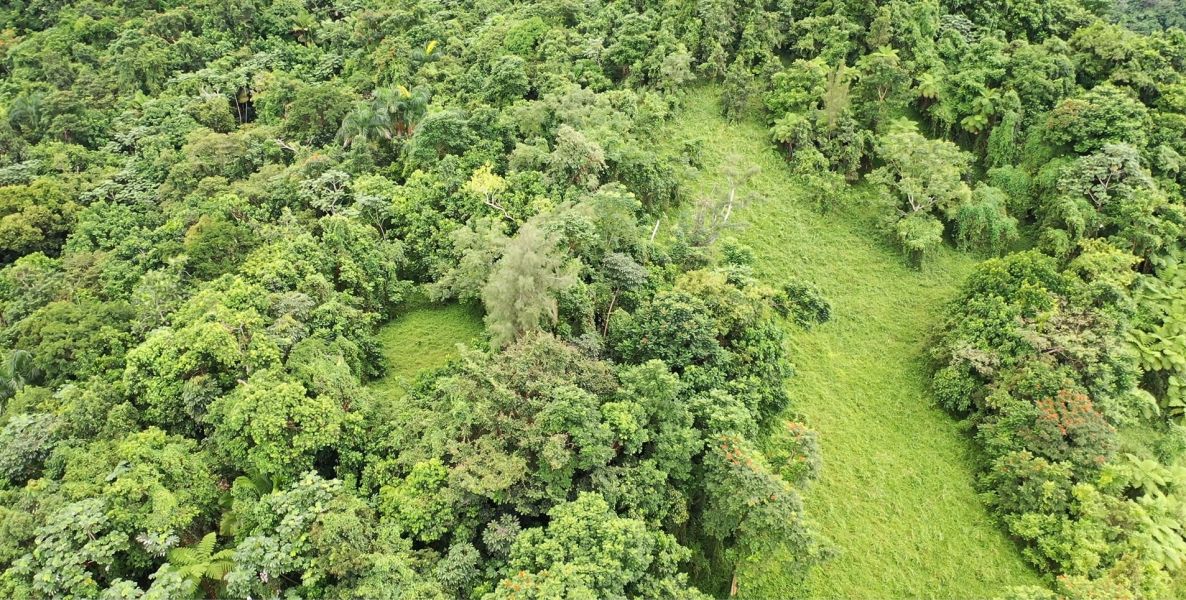 Km 8 Carr 765 Bo San Salvador Caguas 00725 PR