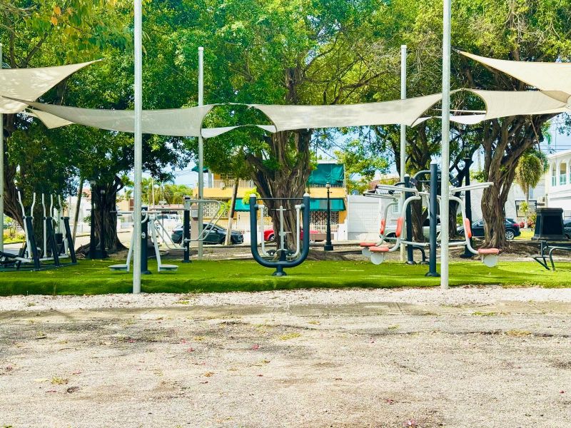 Urb La Rambla Bo Machuelo Abajo #1367 Calle Castel Ponce 00730 PR