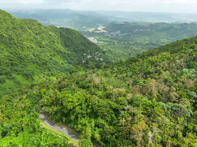 Bo Borinquen Sector Lajita Carr 765 Km 3.5 Caguas 00725 PR