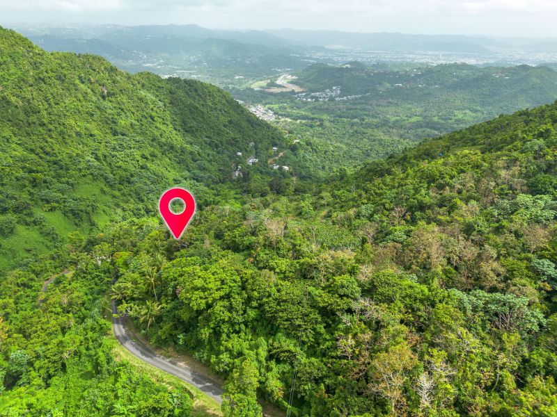 Bo Borinquen Sector Lajita Carr 765 Km 3.5 Caguas 00725 PR