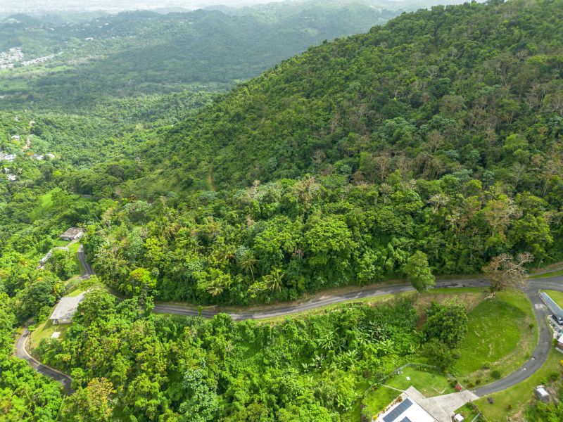 Bo Borinquen Sector Lajita Carr 765 Km 3.5 Caguas 00725 PR