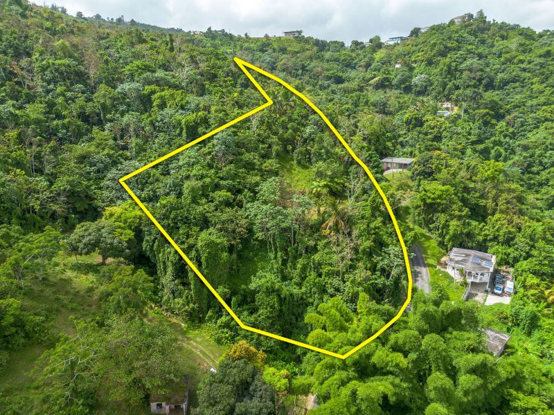 Bo Borinquen Sector Lajita Carr 765 Km 3.5 Caguas 00725 PR