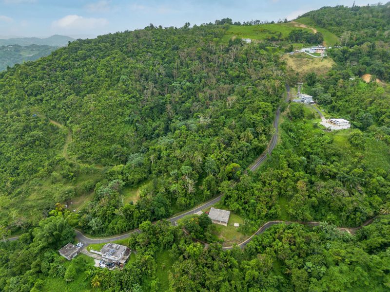 Bo Borinquen Sector Lajita Carr 765 Km 3.5 Caguas 00725 PR