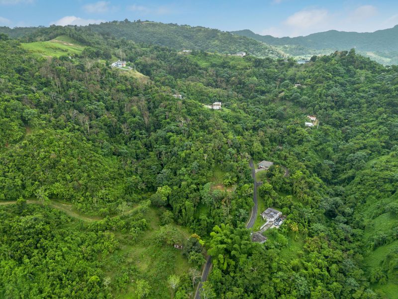 Bo Borinquen Sector Lajita Carr 765 Km 3.5 Caguas 00725 PR