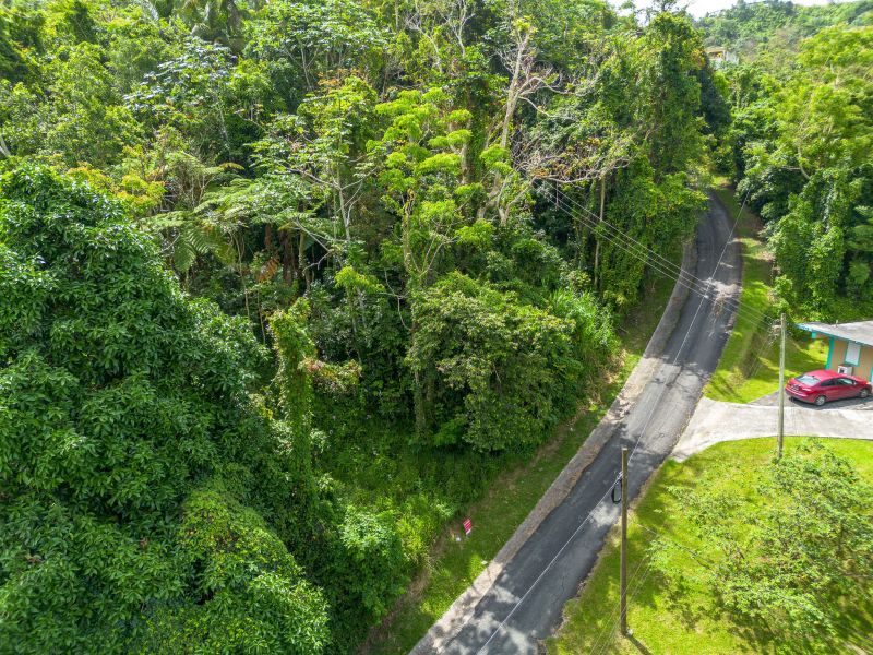 Bo Borinquen Sector Lajita Carr 765 Km 3.5 Caguas 00725 PR
