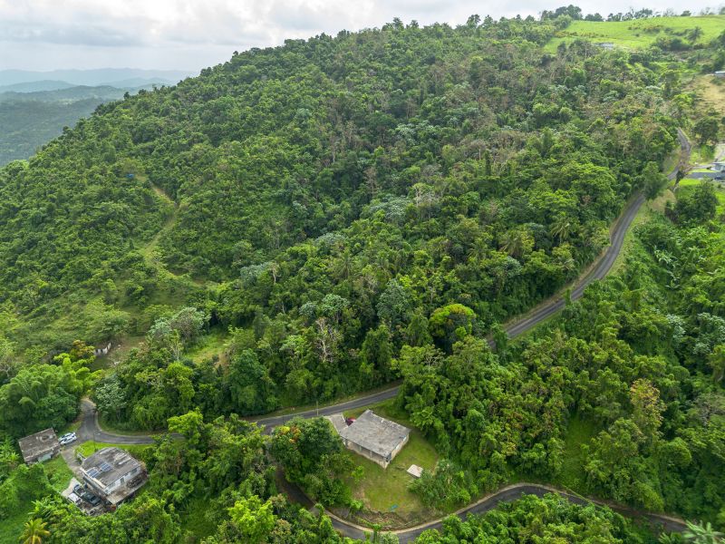 Bo Borinquen Sector Lajita Carr 765 Km 3.5 Caguas 00725 PR
