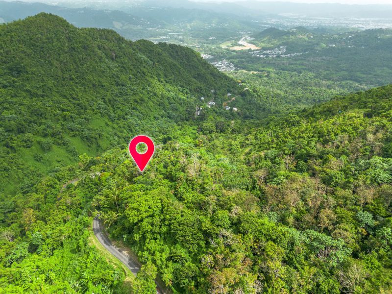 Bo Borinquen Sector Lajita Carr 765 Km 3.5 Caguas 00725 PR