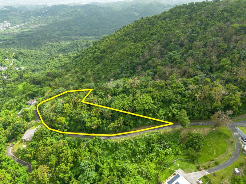 Bo Borinquen Sector Lajita Carr 765 Km 3.5 Caguas 00725 PR