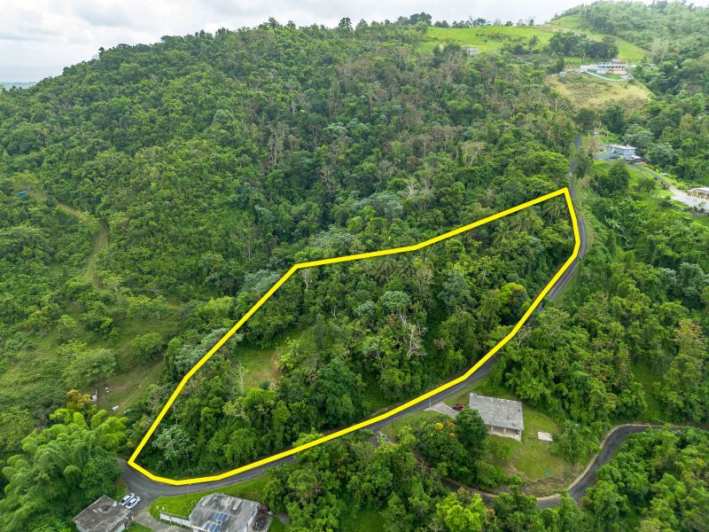 Bo Borinquen Sector Lajita Carr 765 Km 3.5 Caguas 00725 PR