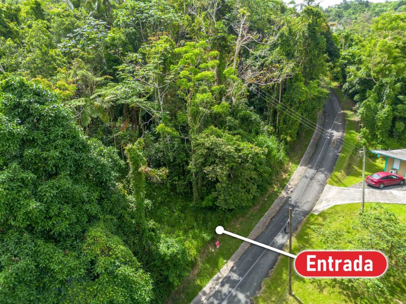 Bo Borinquen Sector Lajita Carr 765 Km 3.5 Caguas 00725 PR