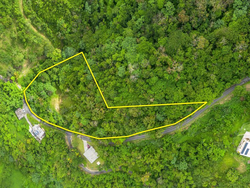 Bo Borinquen Sector Lajita Carr 765 Km 3.5 Caguas 00725 PR