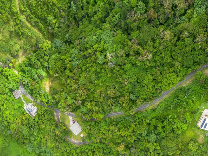 Bo Borinquen Sector Lajita Carr 765 Km 3.5 Caguas 00725 PR