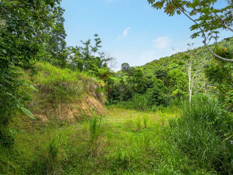 Bo Borinquen Sector Lajita Carr 765 Km 3.5 Caguas 00725 PR