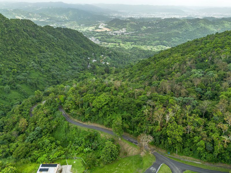 Bo Borinquen Sector Lajita Carr 765 Km 3.5 Caguas 00725 PR