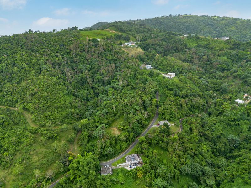 Bo Borinquen Sector Lajita Carr 765 Km 3.5 Caguas 00725 PR